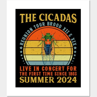 Cicada Brood XIII XIX Summer 2024 Reunion Tour Swarm Cicadas Posters and Art